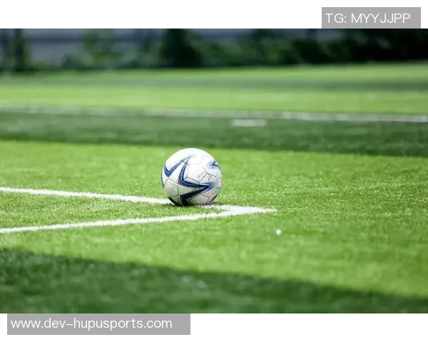 足球的魅力与精神：在绿茵场上追逐梦想的旅程